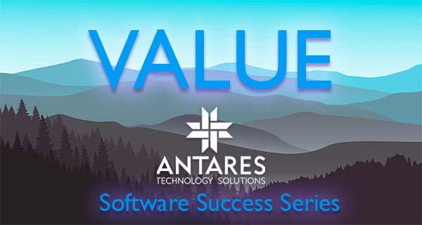 derive value and success from custom software for business